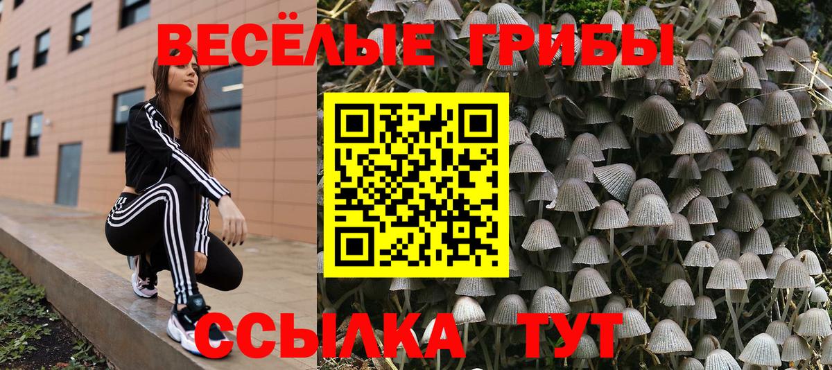 Галлюциногенные грибы прущие грибы  Псилоцибиновые грибы MAGIC MUSHROOMS  Жигулёвск  Вход с VPN 