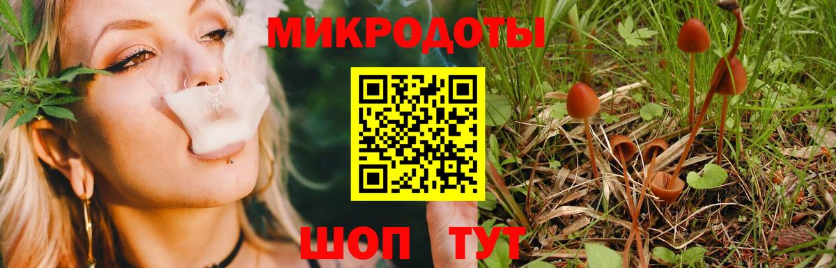 Галлюциногенные грибы Cubensis Жигулёвск